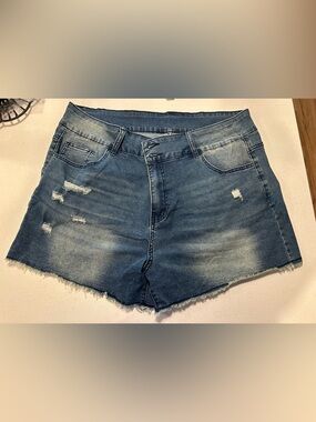 Denim 20w Distressed Women’s Shorts - Blue